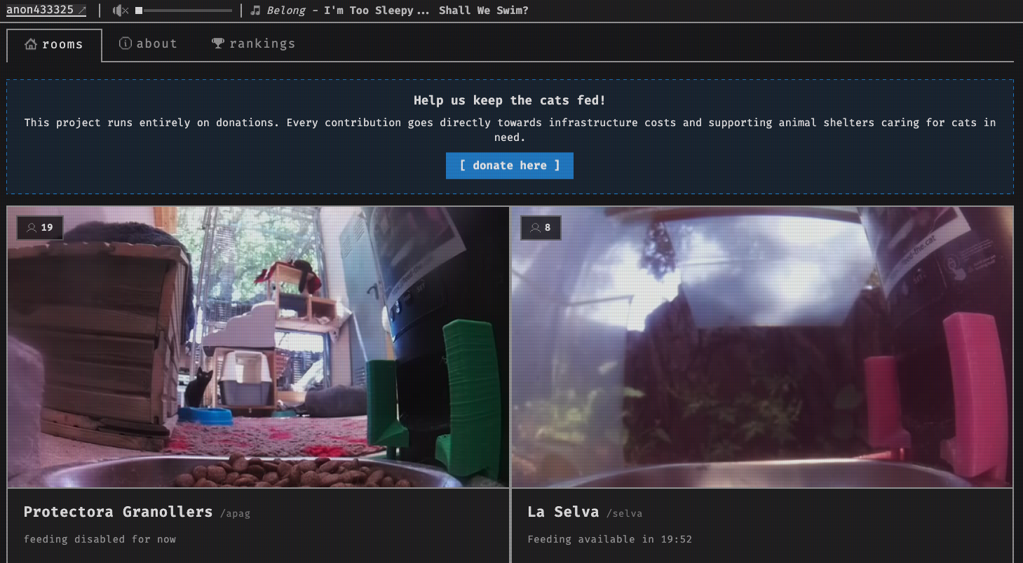 AIで「猫に餌をあげるだけのサイト」を作ったら、世界中の猫好きが集まった話